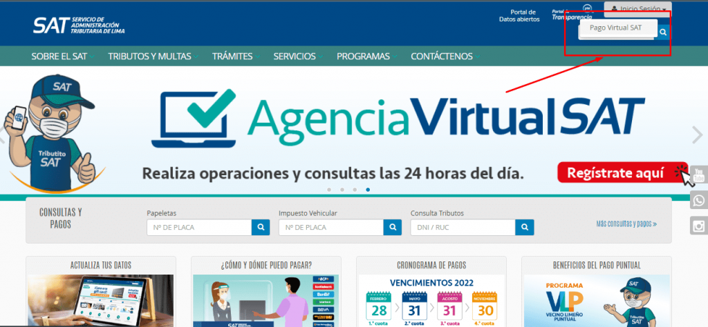 Ingraso para operaciones en linea del sat